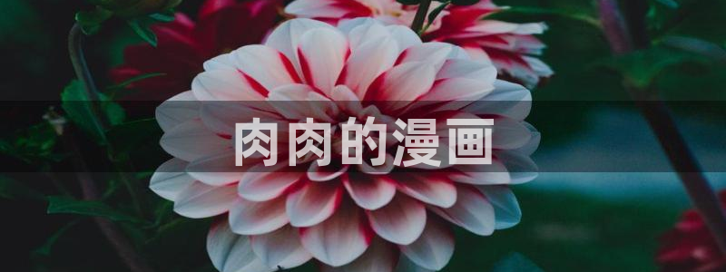 免费看韩漫在线观看