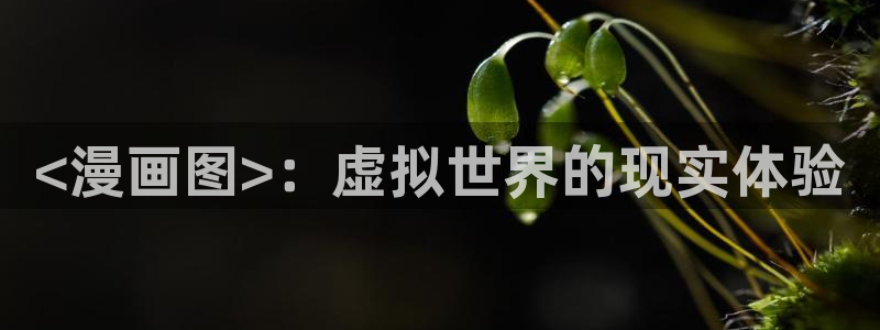 韩漫网站未删减