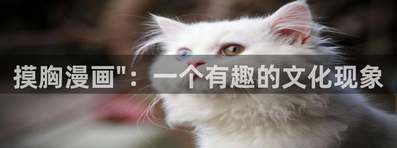 韩漫 好看漫画