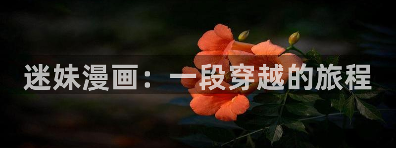 韩漫在线看无删减