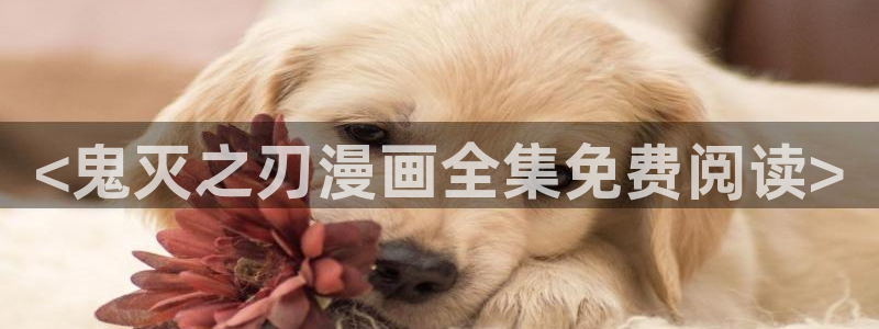 韩漫漫画免费下拉