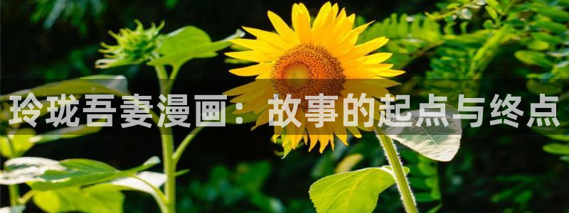 超通漫画韩漫漫画：玲珑吾妻漫画：故事的起点与终点