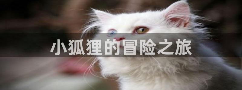 韩漫在线阅读漫画画免费