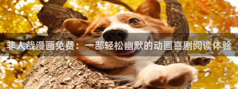 韩漫禁漫在线观看：非人哉漫画免费：一部轻松幽默的动画喜剧阅读体验