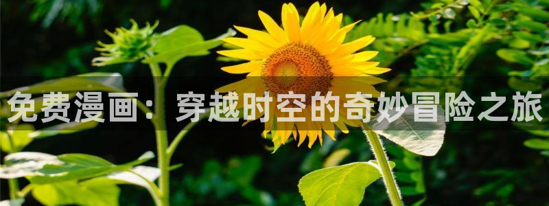 玩火韩漫画全集在线阅读：免费漫画：穿越时空的奇妙冒险之旅